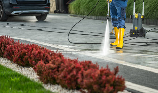 Best Fence Cleaning  in Oliver Springs, TN